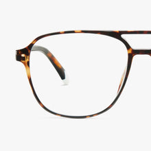 Barner Brad Glossy Glasses - Tortoise