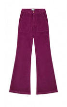 Wild Elizabeth Velvet Trousers - Prune